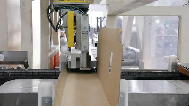 Automatic-packing-line-3