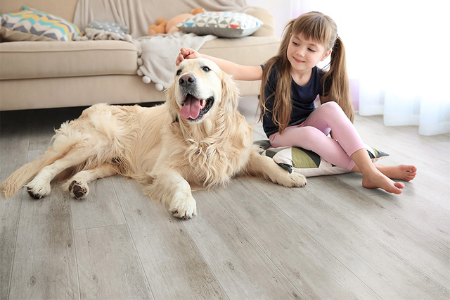 Case che accettano animali domestici